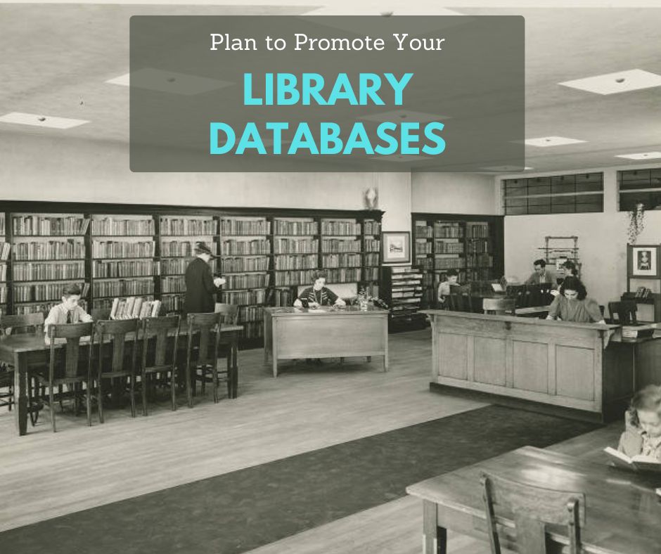 Here’s a 12 Month Promotional Campaign Plan To Skyrocket Database Usage ...